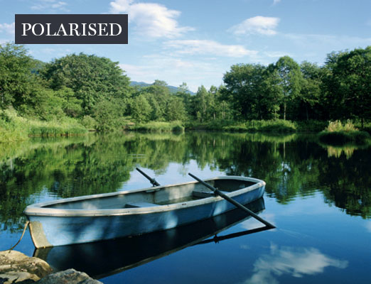 Example with polarised lenses