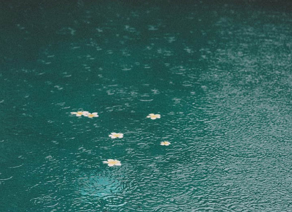 Sound Enrichment Therapy